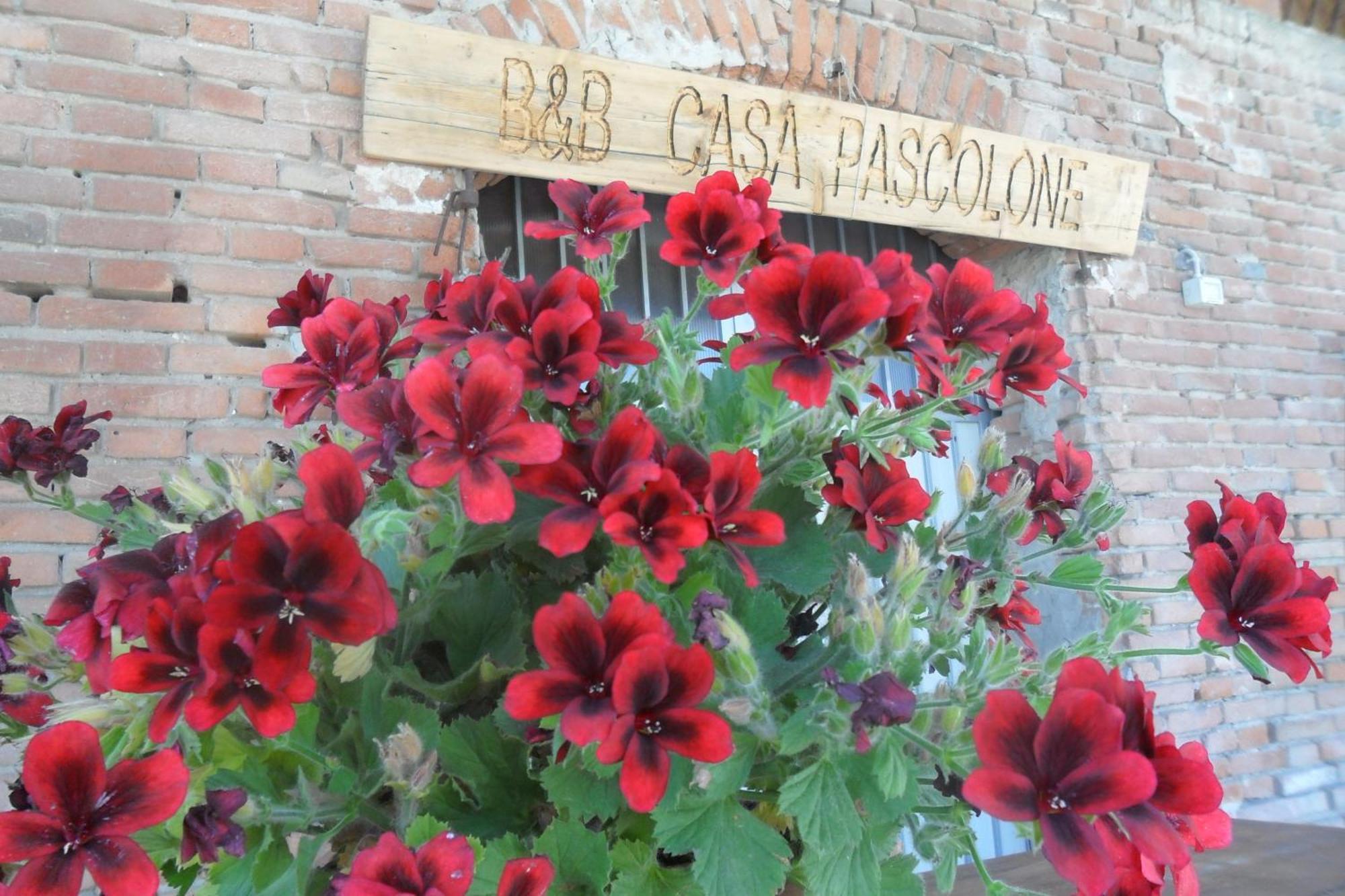 B&B Casa Pascolone Pegognaga Exterior foto